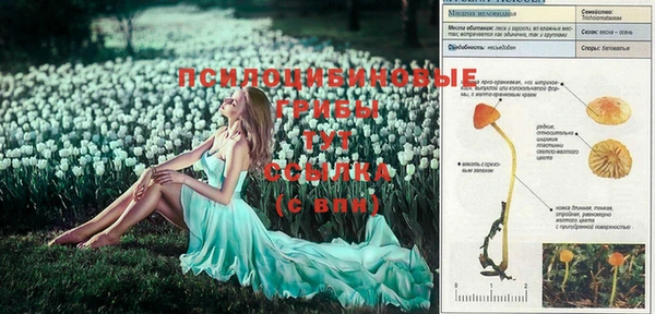 COCAINE Абинск