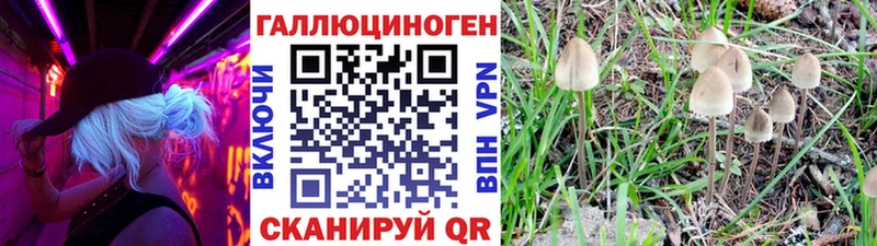 Псилоцибиновые грибы MAGIC MUSHROOMS  kraken онион  Чапаевск 