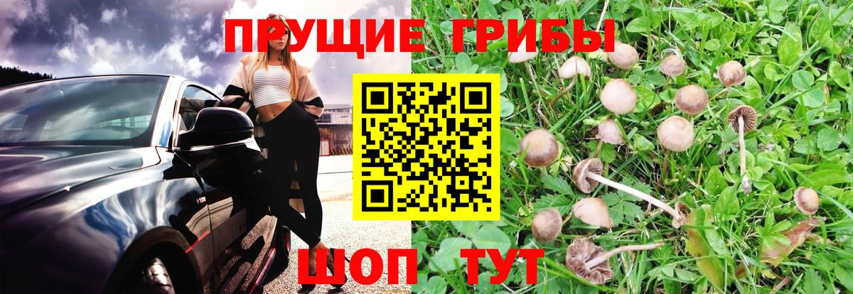 Псилоцибиновые грибы мухоморы  Вход с VPN  Чапаевск 